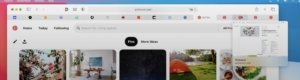Safari Preview - MacOS Big Sur
