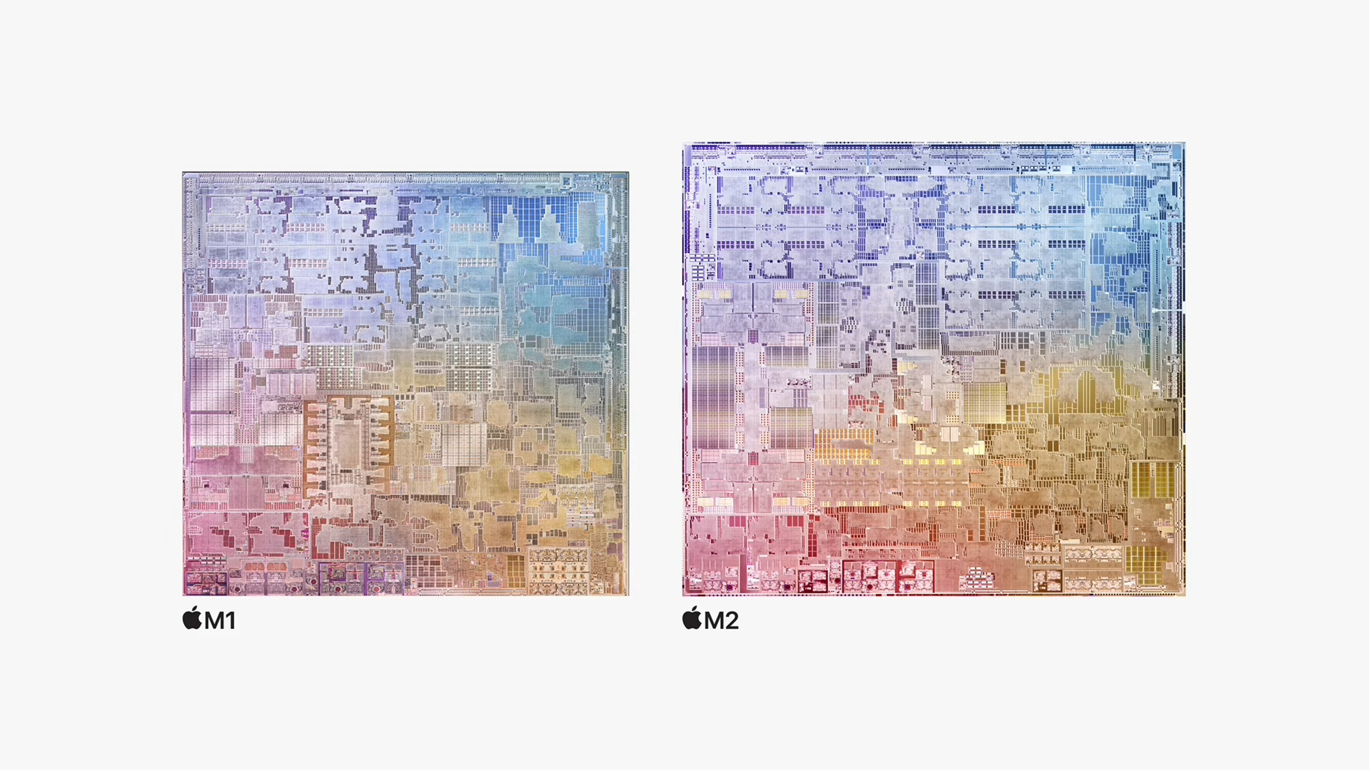 M2 vs M1