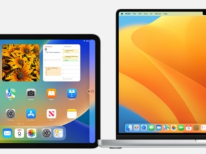 Hướng dẫn chia sẻ chuột và bàn phím giữa máy Mac và iPad - ảnh 3